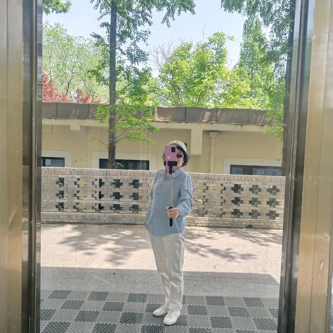 🍃叶子