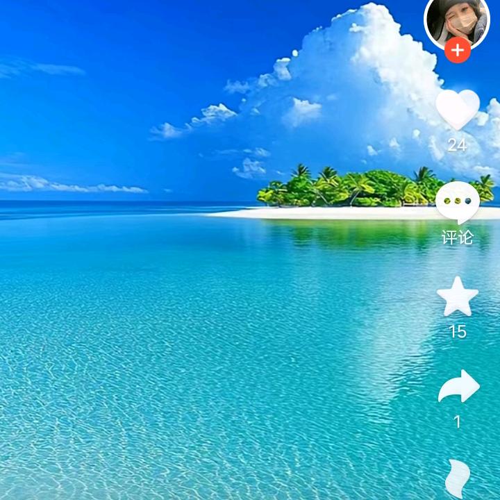 🌴金玉🌴