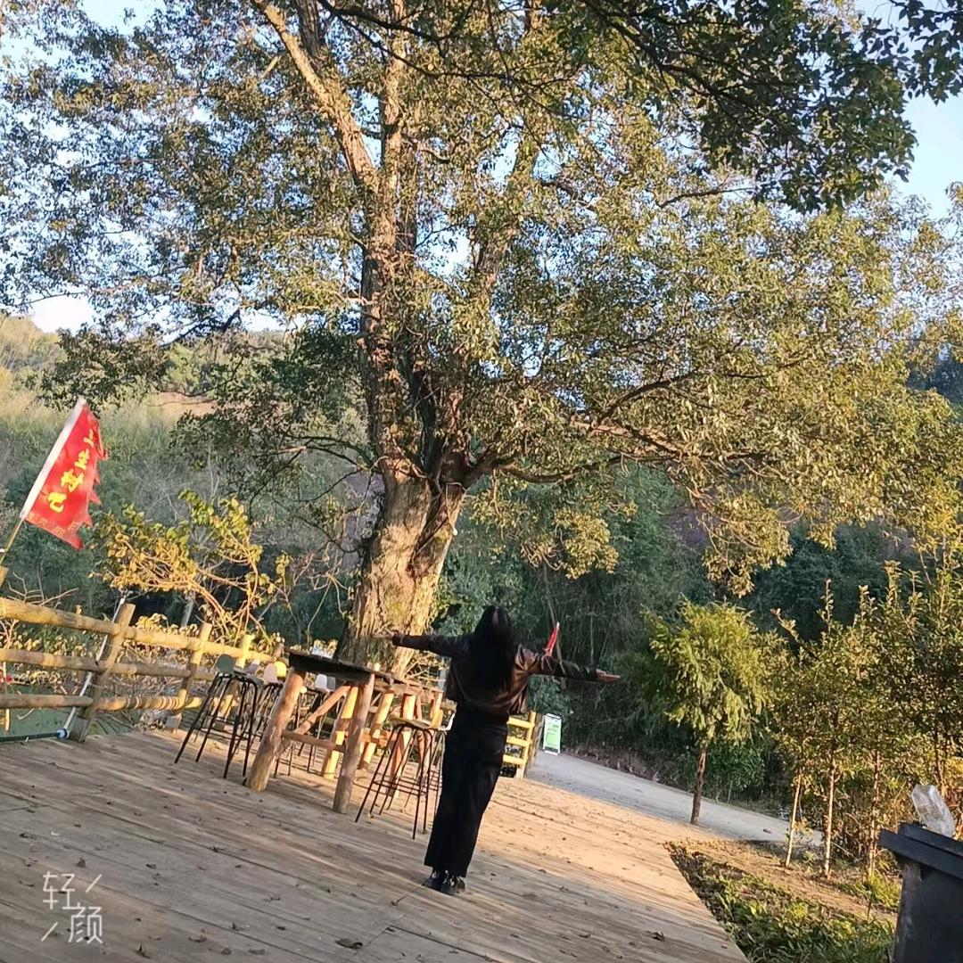 好运连连