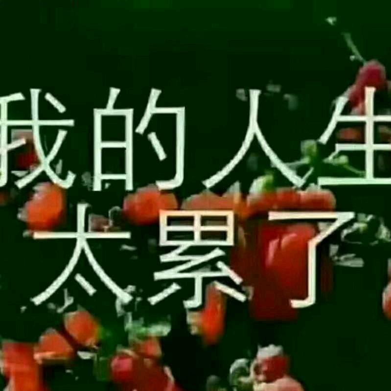 我的靠山在哪里💔💔