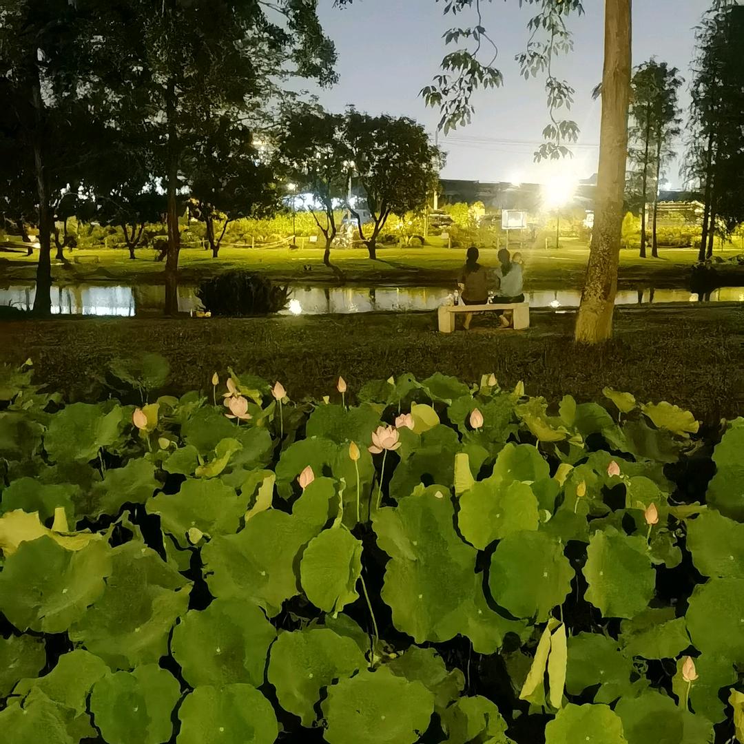 霞姐，，，