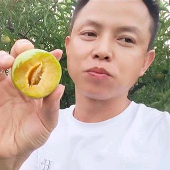 黔壹佳贵州水果专卖店