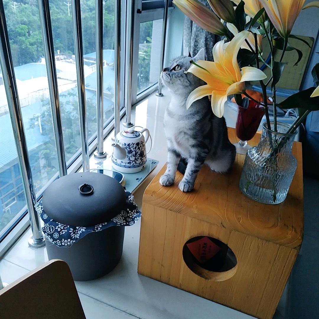 梅子