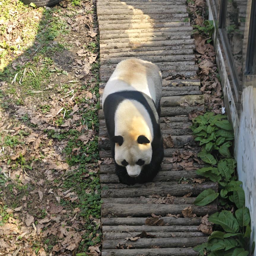 快生锈的螺丝钉