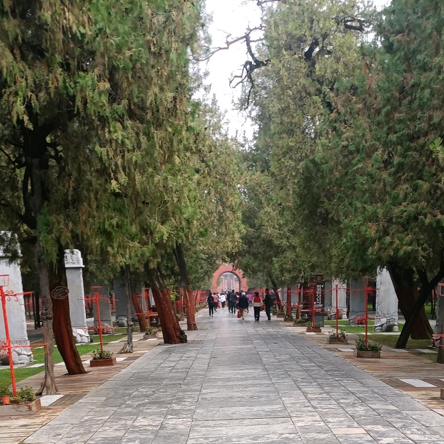 陪（裴）你到永远