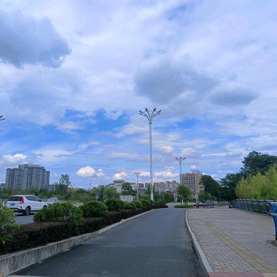 雨味(手机随拍)