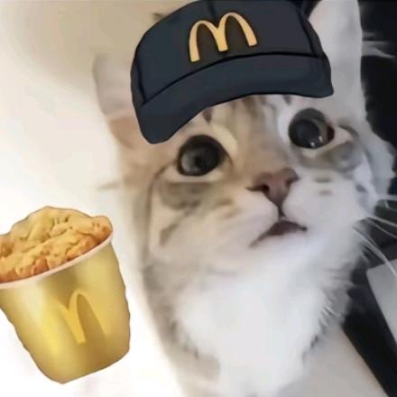一碗大米饭