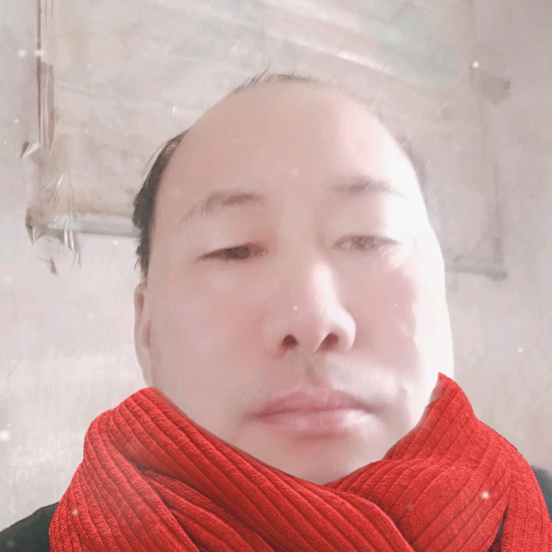 宠小微