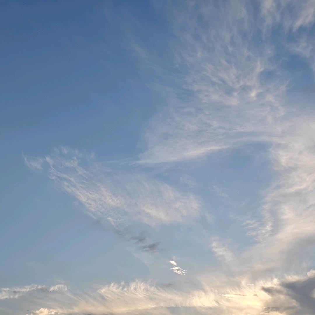 阿城