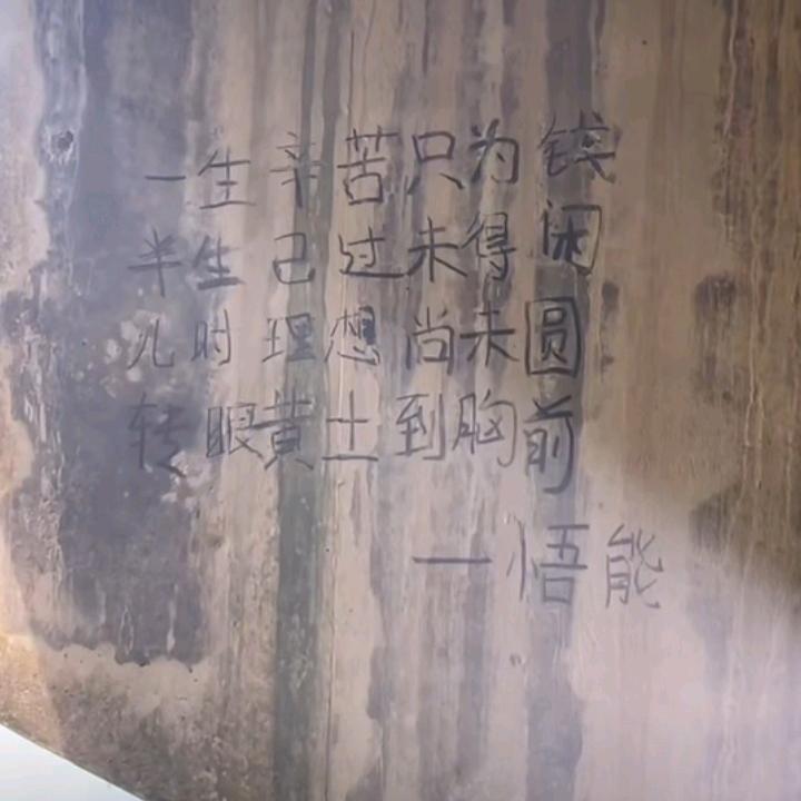 寻天涯