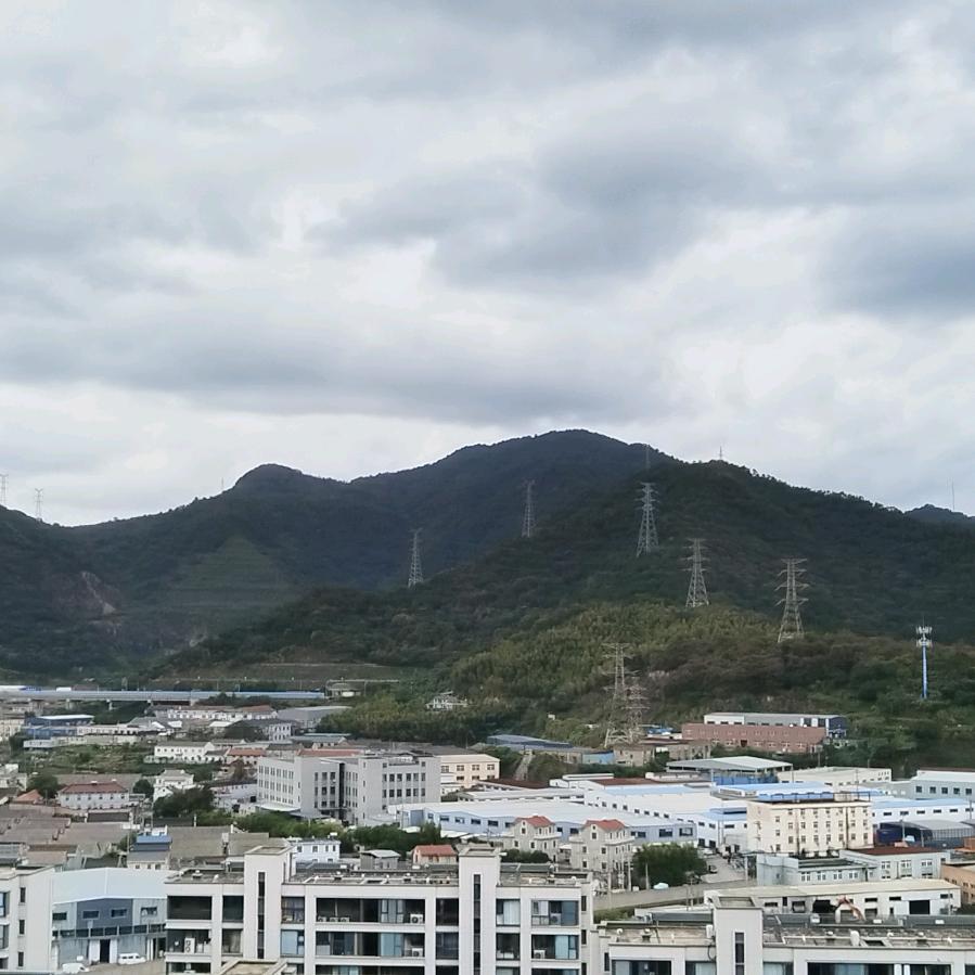 @杨