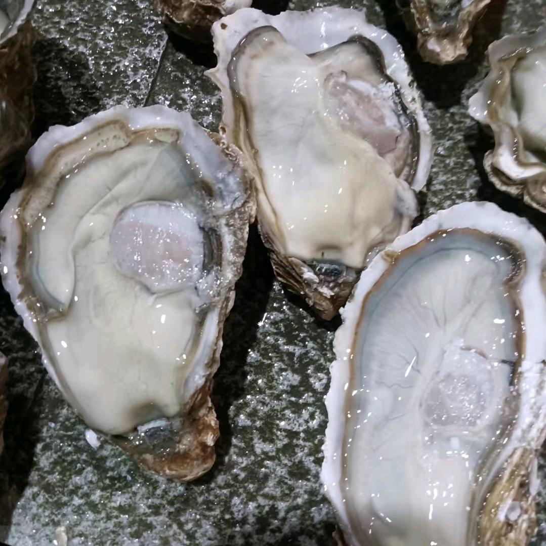 蚝友钱，海鲜批发零售，小胡