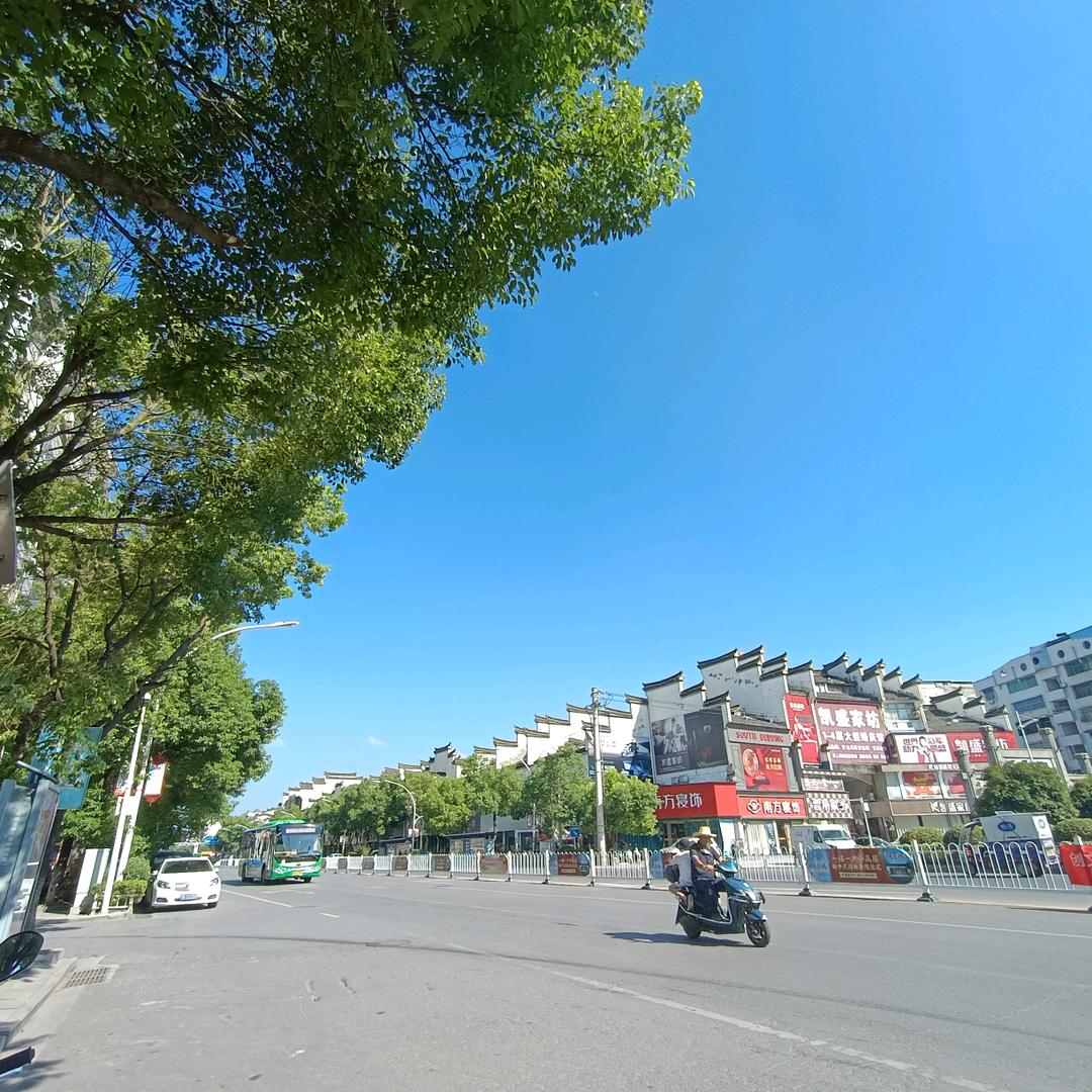 琪琪的后备干部