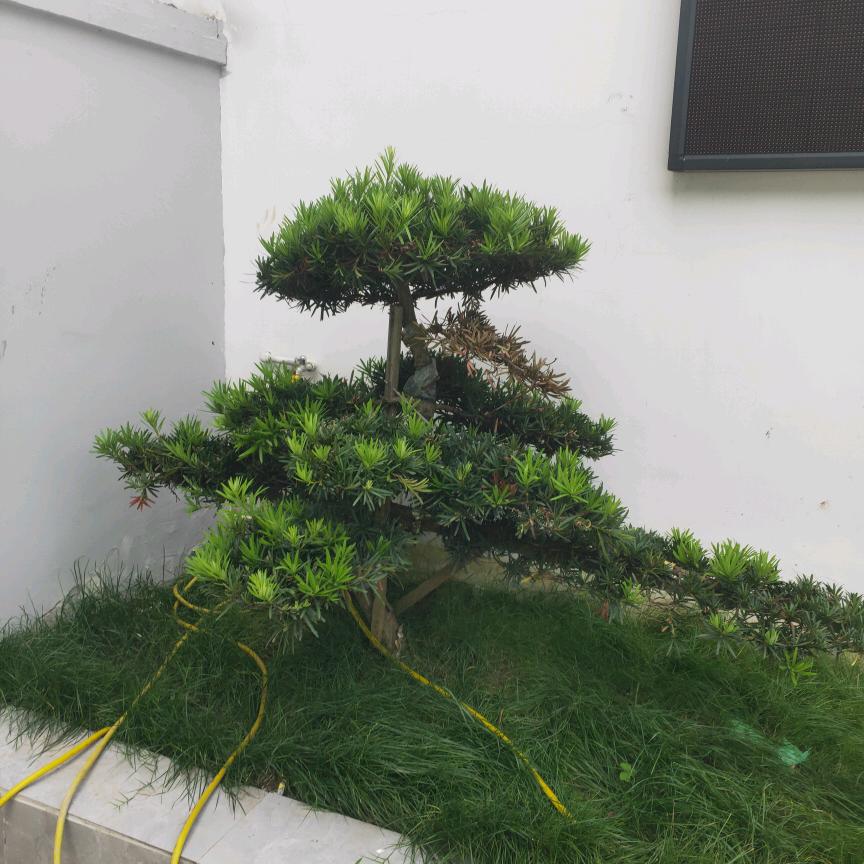 动动试试
