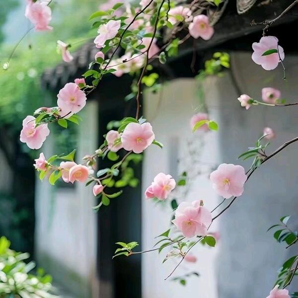 @立秋