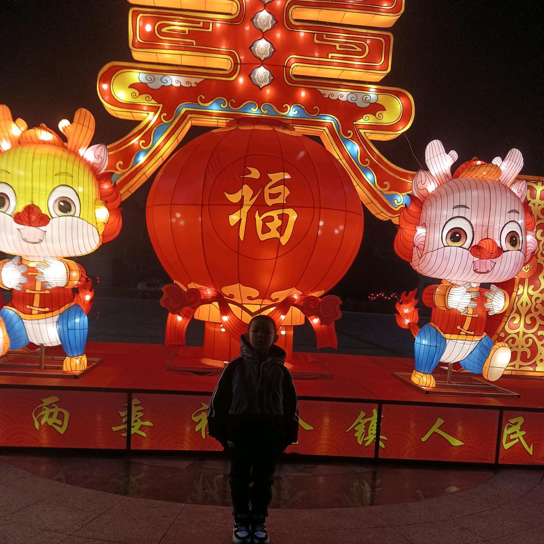 五颜六色的鲜花