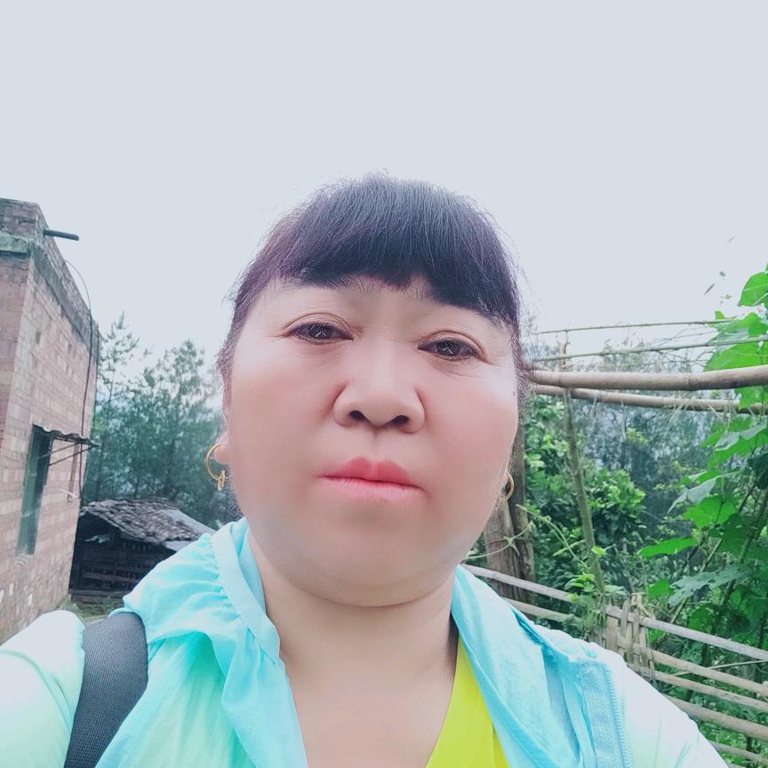 农村陈二姐