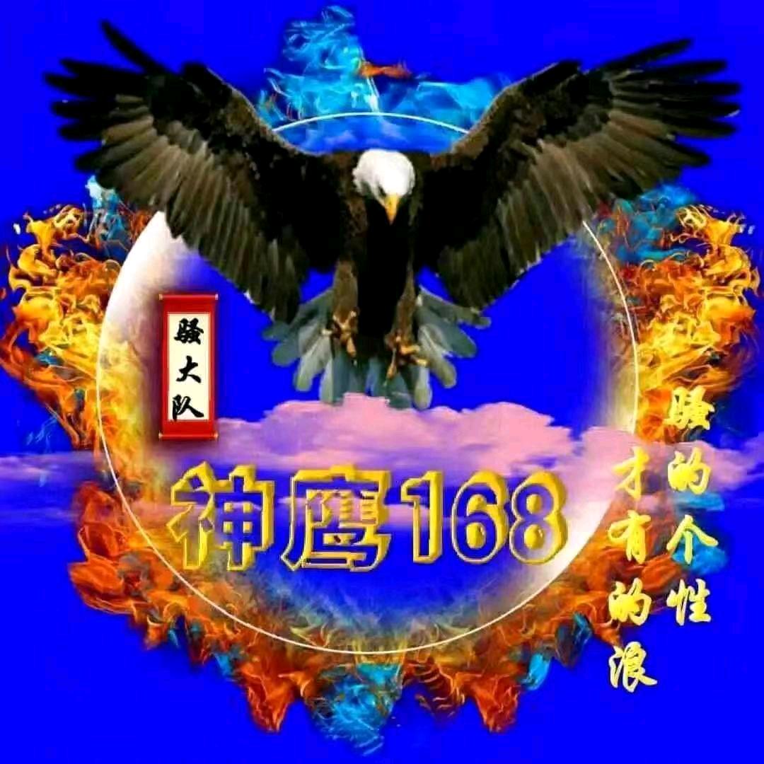 神鹰168