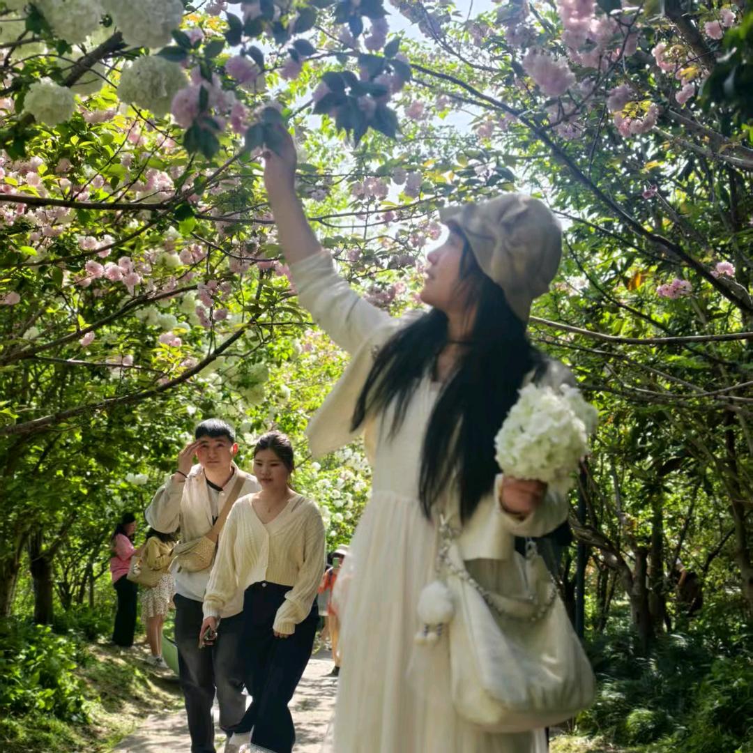 王家姑娘《傻丫头珍珍橱窗有好物》