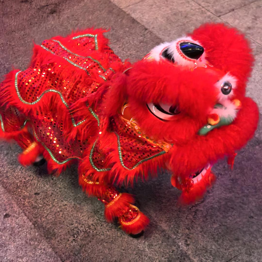 大湾区