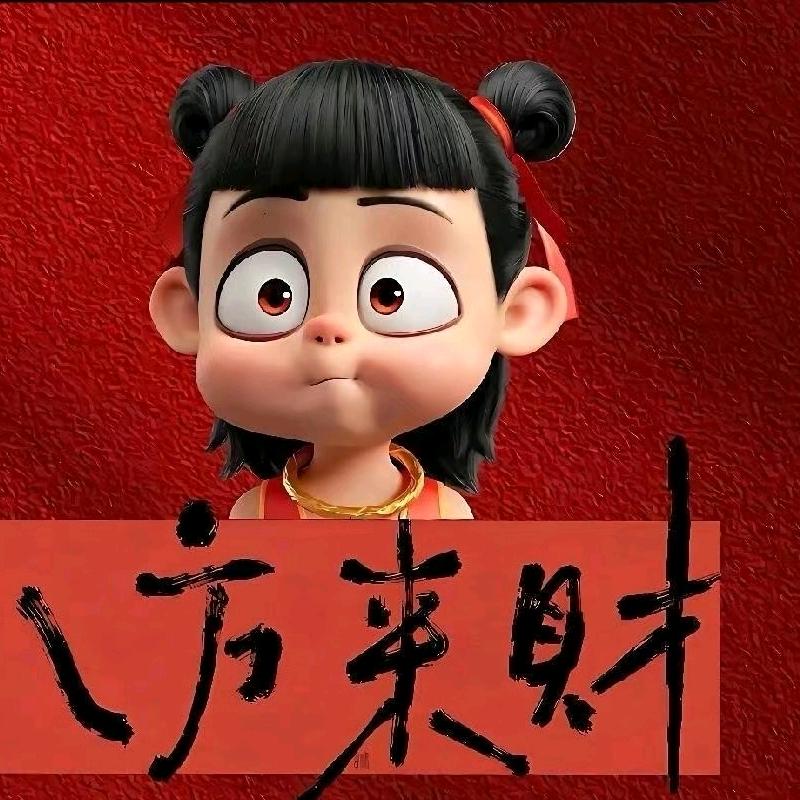 zjj17679495277