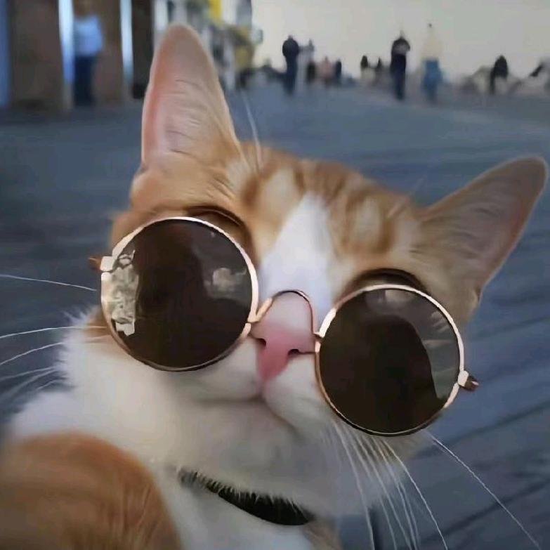 看我 biu 中你的💘