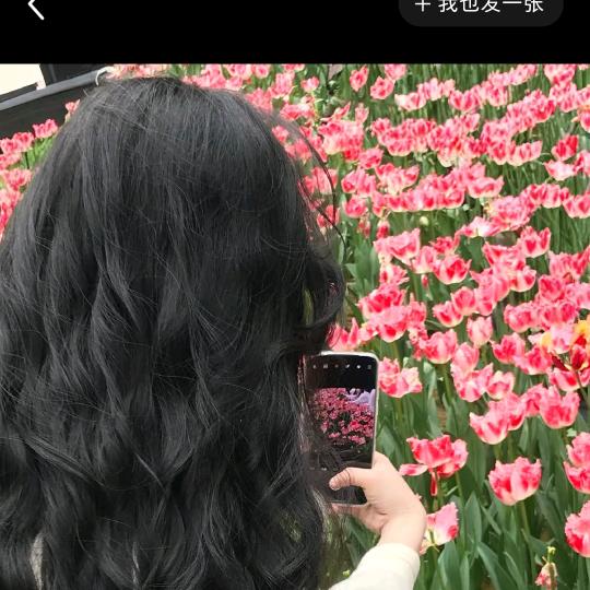 我里个豆
