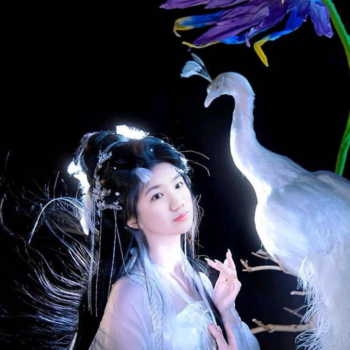 宋艳艳