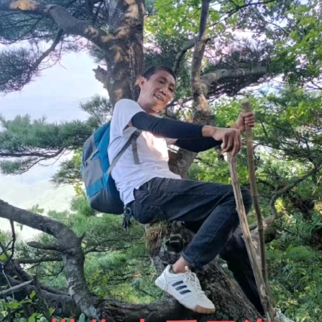 无言的碳哥