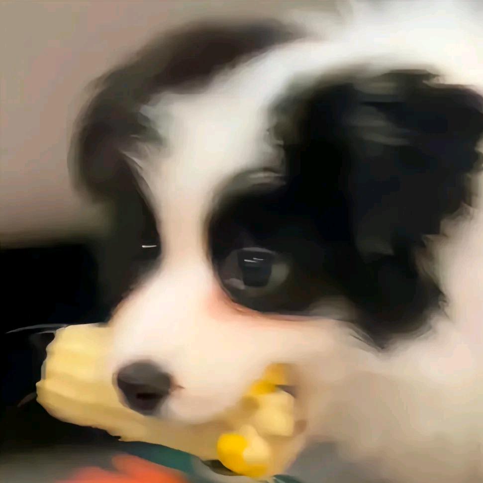 摄像界的“显眼包”