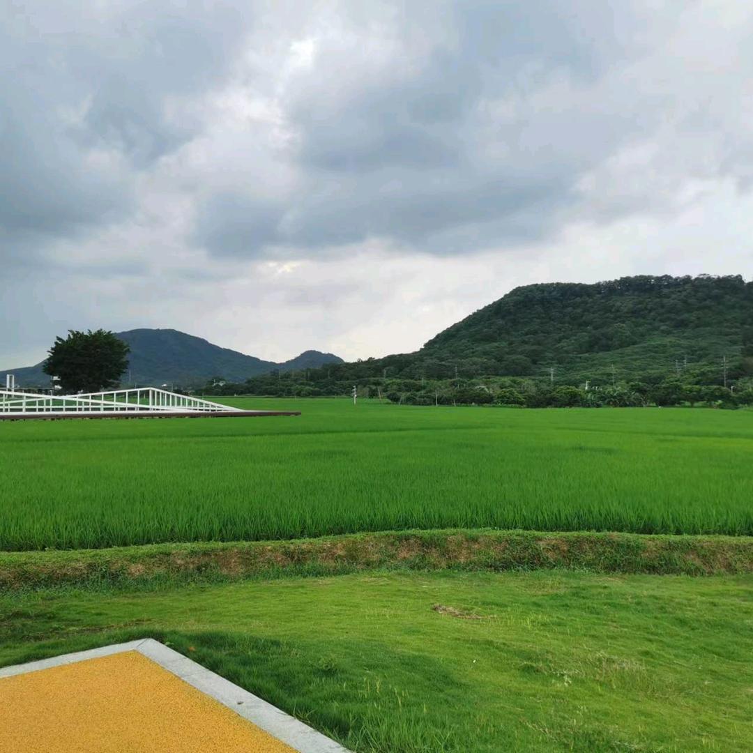 顺其自然^🧊️