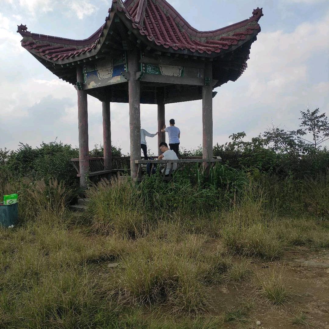 陈东升