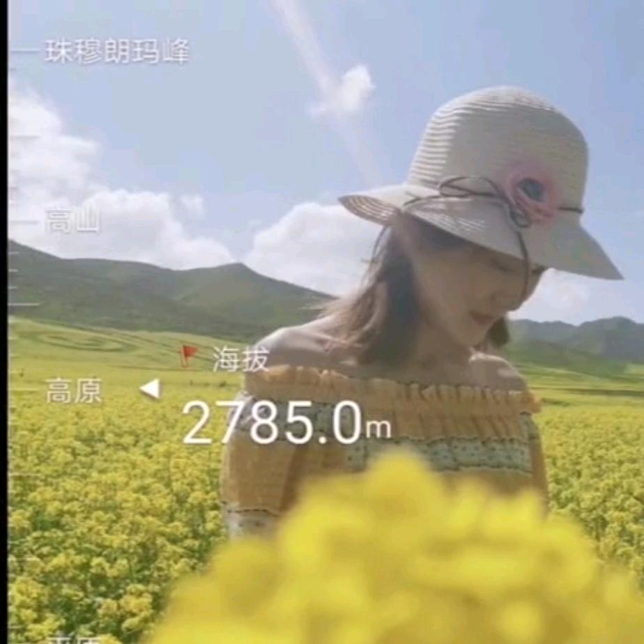 大V吖