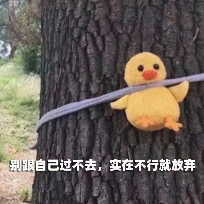 pai-大星