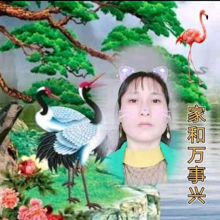 开心每一天何芝霞