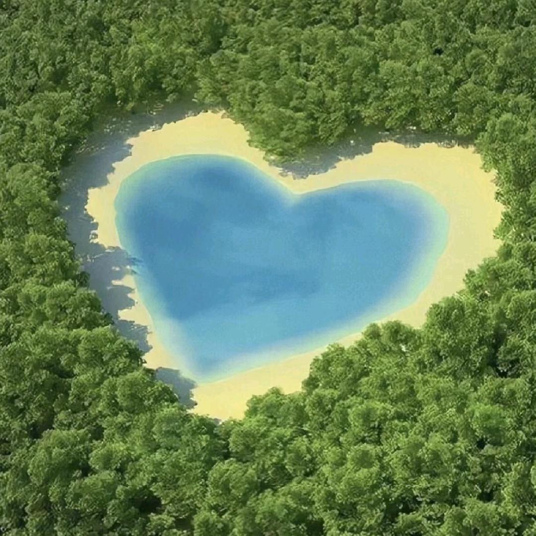 左姐说房——三台