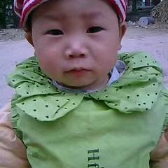 宏辰花生收割团队