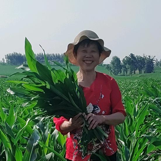 田园妈首播