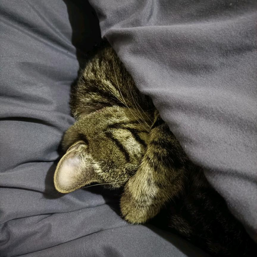 经济舱不是竞技场