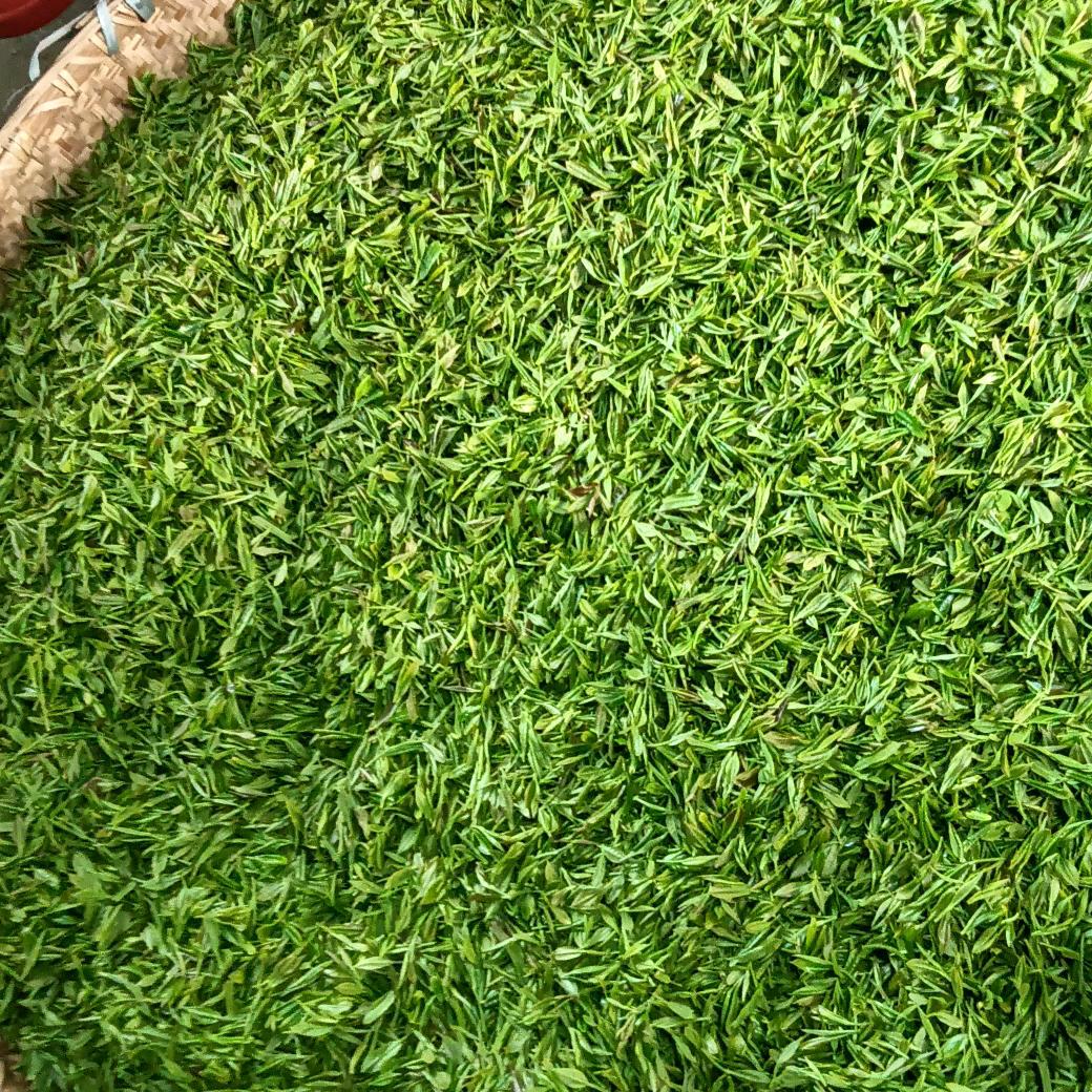 清风明月@