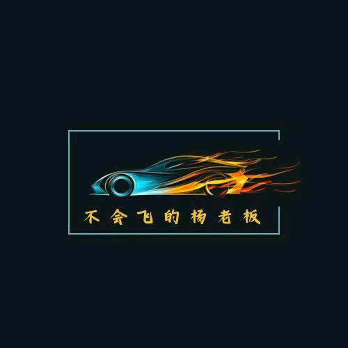 不会飞的杨老板