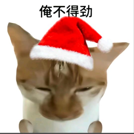 ค^熬夜^ฅ