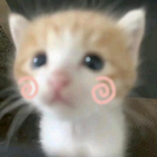 小鱼ok绷