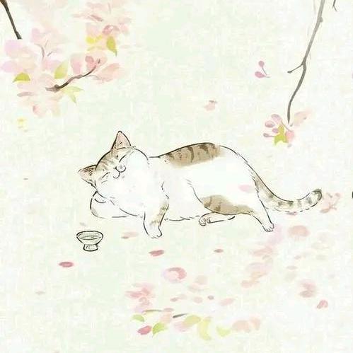 梦里的你还是你吗💃🏻