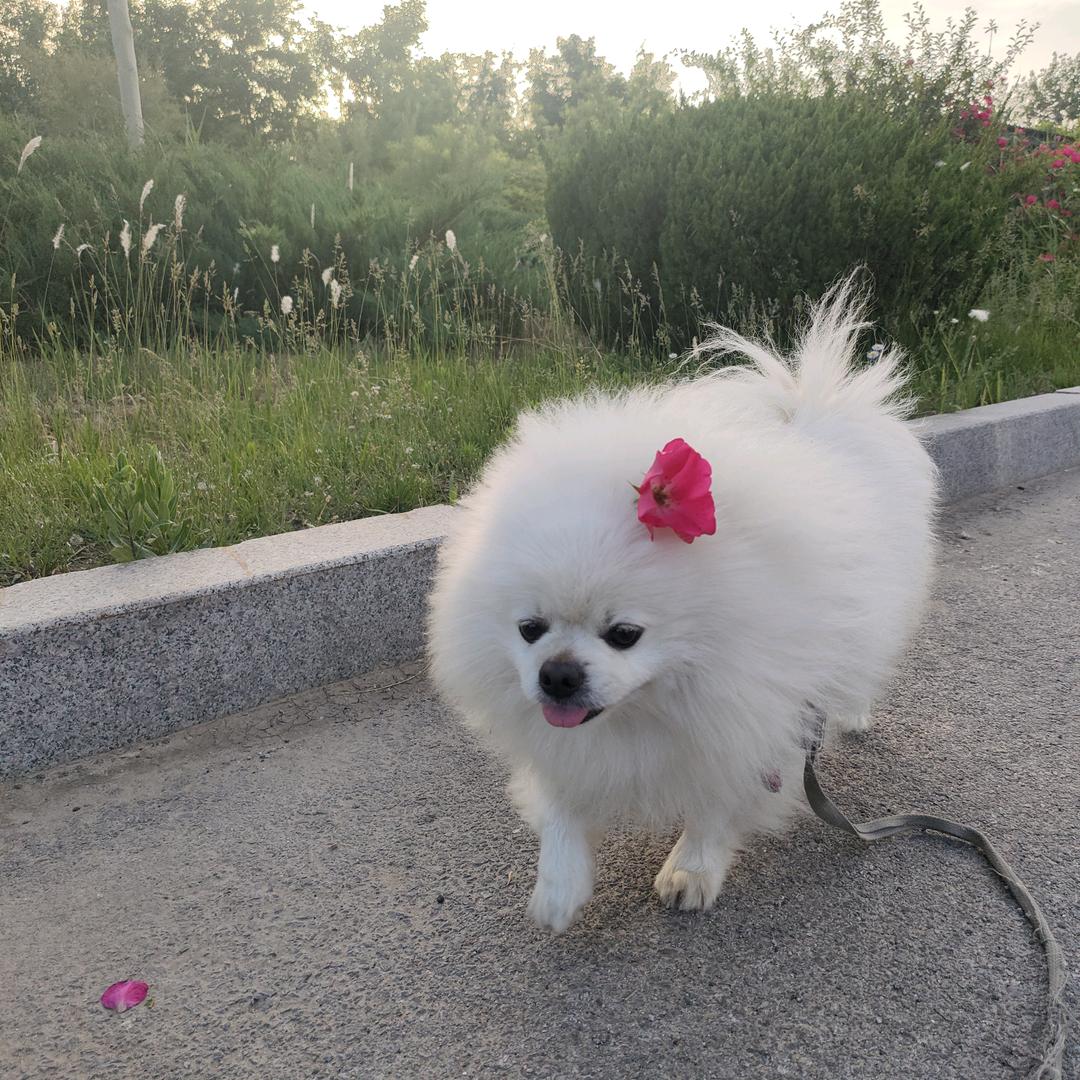 🌞要相信光🌞