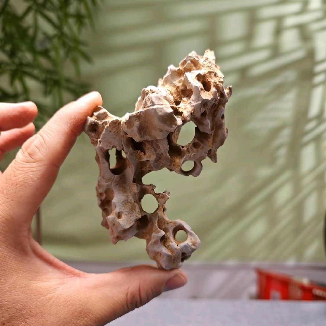 《求珍悟石》微型石