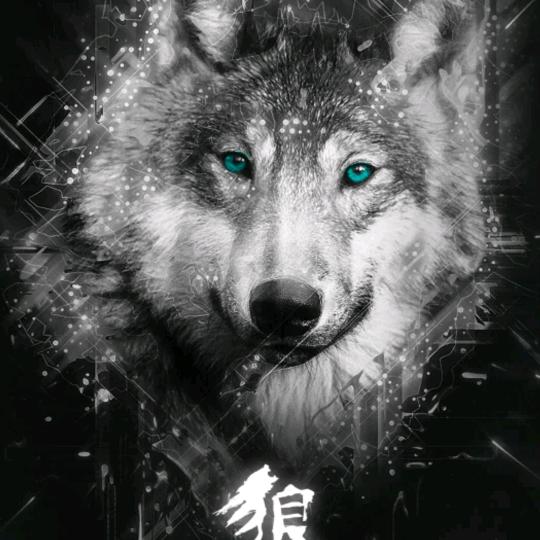 冯熟了