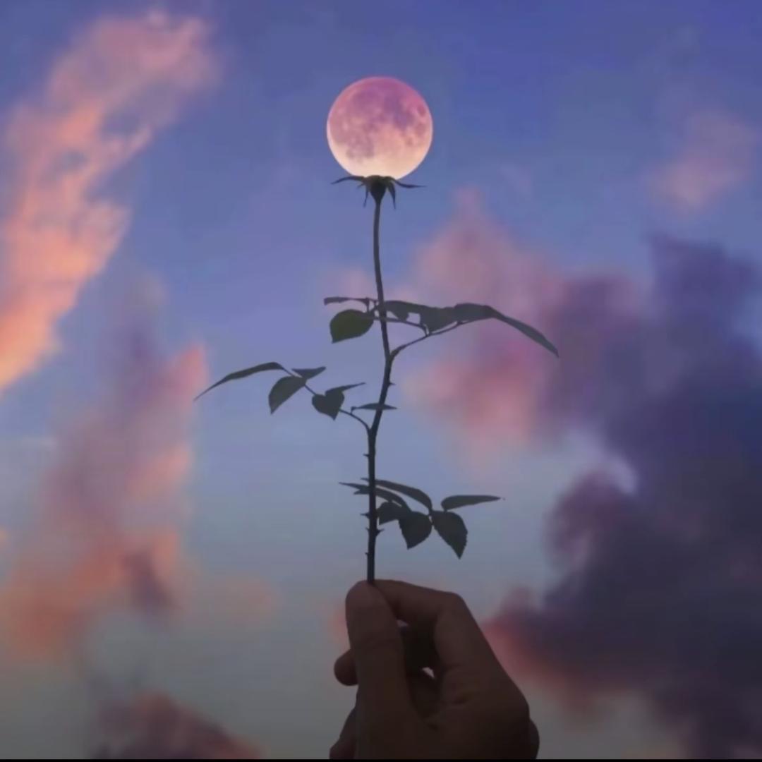南湾不秋丶