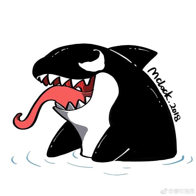 运动的虎鲸