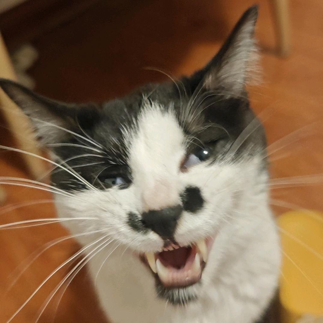 灭霸（不服气版）